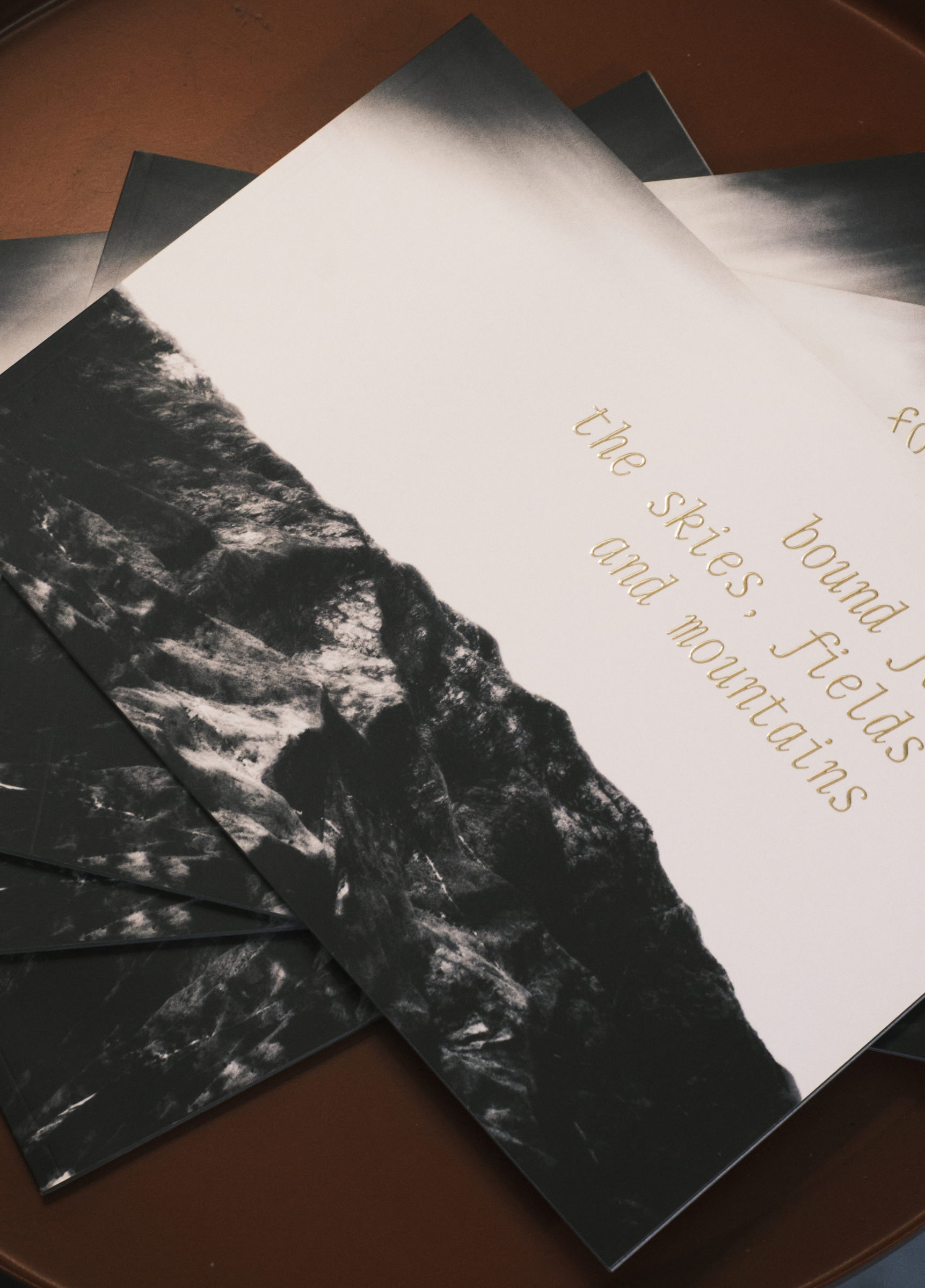 Cubierta — sustituir por fotografía del zine